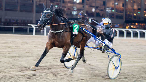 Foto: MIKAEL ROSENQUIST / TR BILD