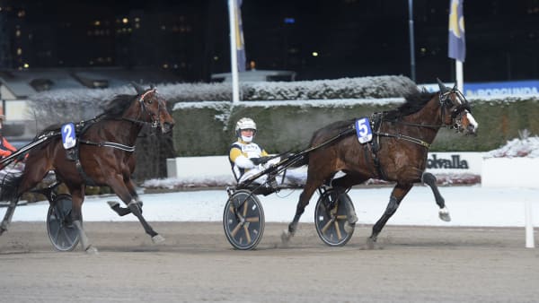 Foto: LARS JAKOBSSON / TR BILD