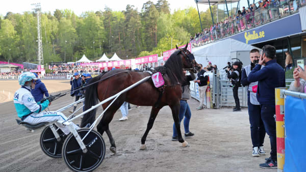 Foto: MARIA HOLMÉN / TR BILD