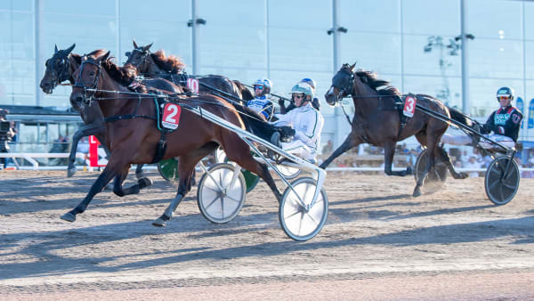 Foto: MIKAEL ROSENQUIST / TR BILD