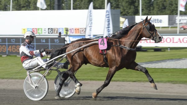 Foto: LARS JAKOBSSON / TR BILD