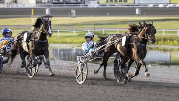 Foto: LENA EMMOTH / TR BILD