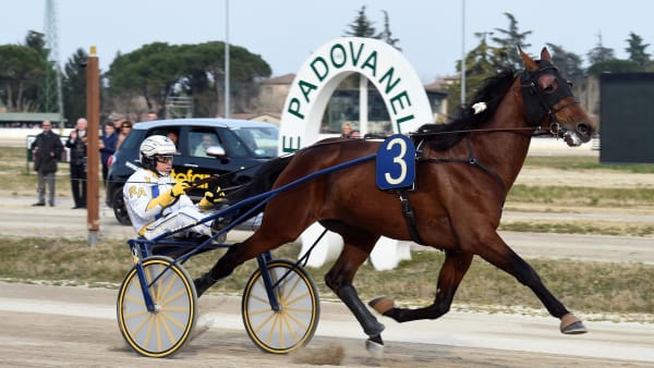 Foto: Gerhard Forni.