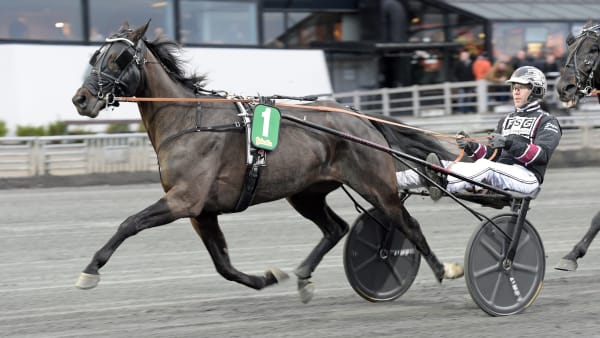 Foto: LARS JAKOBSSON / TR BILD