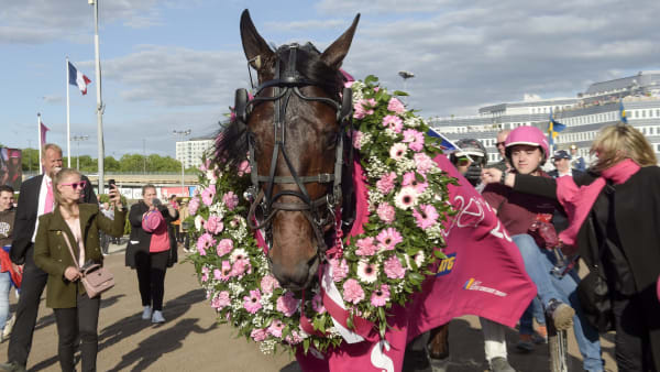 Foto: LARS JAKOBSSON / TR BILD