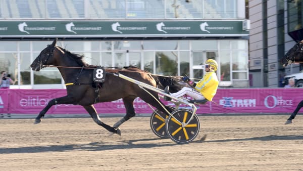 Foto: LARS JAKOBSSON / TR BILD