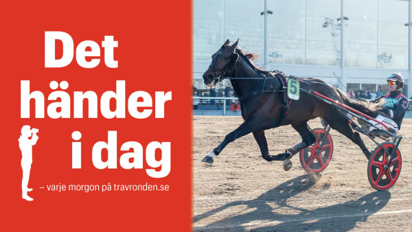Foto: TR BILD