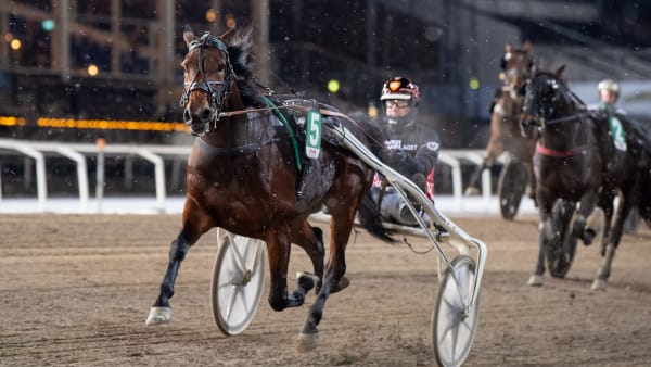 Foto: MIKAEL ROSENQUIST / TR BILD