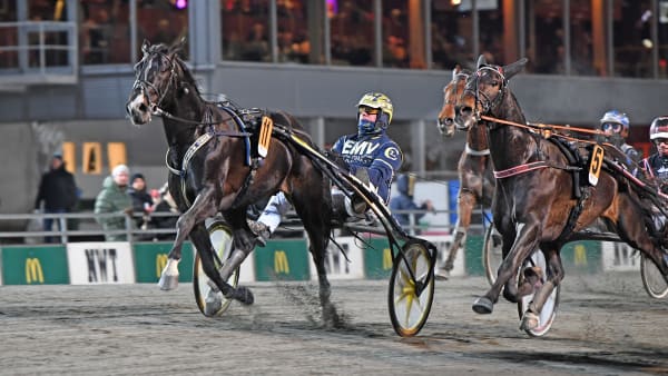 Foto: MALIN ALBINSSON / TR BILD