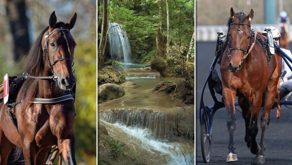 Foto: Lars Jakobsson/TR BILD/Christophe Bi