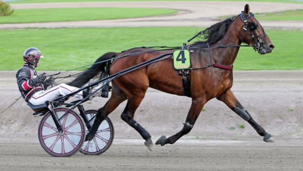 Foto: MIA TÖRNBERG/TR BILD