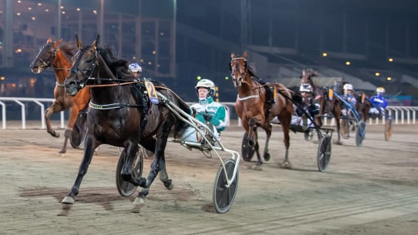 Foto: MIKAEL ROSENQUIST / TR BILD