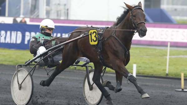 Foto: Thomas Blomqvist/TR Bild