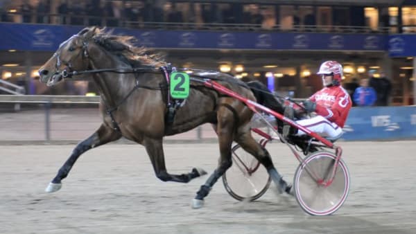 Foto: GÖRAN LINDSKOG/SIDMAKARN