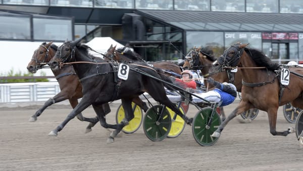 Foto: LARS JAKOBSSON / TR BILD