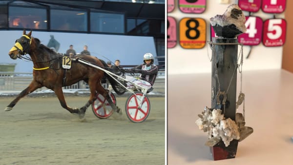 Foto: LARS JAKOBSSON/TR BILD & PRIVAT