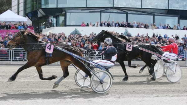 Foto: JEANNIE KARLSON