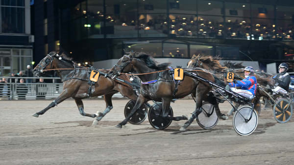 Foto: LARS JAKOBSSON / TR BILD