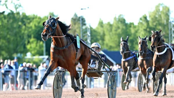 Foto: MARIA HOLMÉN / TR BILD