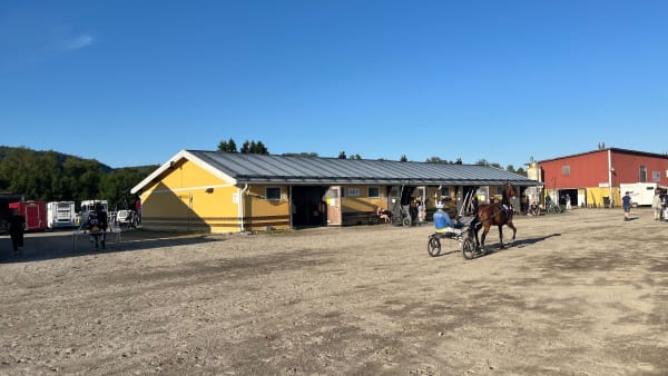 Foto: MATTIAS HOLMGREN/TR BILD