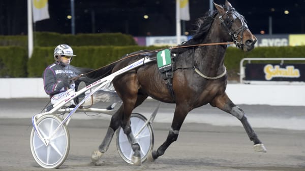 Foto: LARS JAKOBSSON / TR BILD
