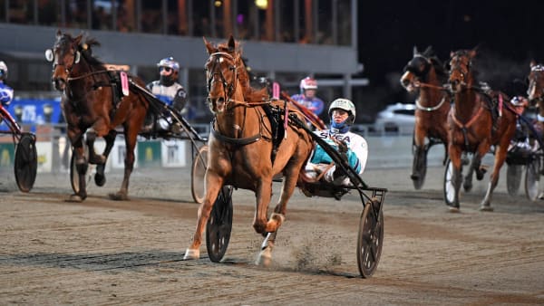 Foto: MALIN ALBINSSON / TR BILD