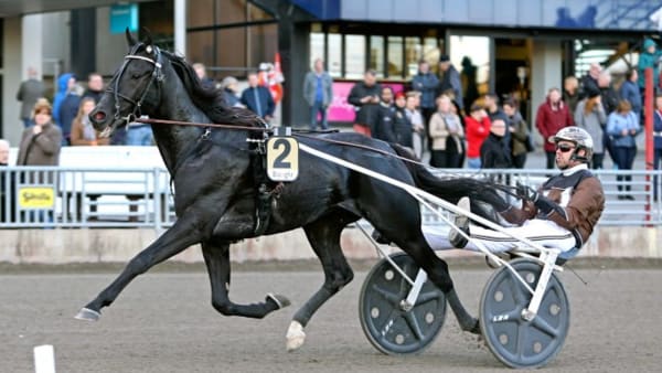 Foto: MARIA HOLMÉN/TRAVRONDEN