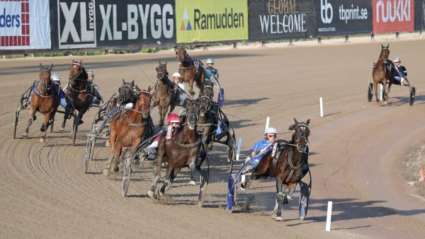 Foto: MARIA HOLMÉN / TR BILD