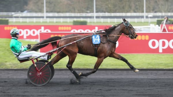 Foto: JEANNIE KARLSSON