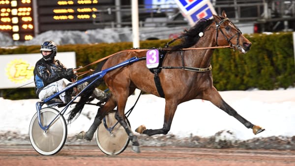 Foto: MALIN ALBINSSON / TR BILD