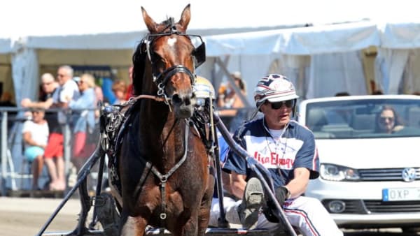 Foto: MIA TÖRNBERG/Travronden