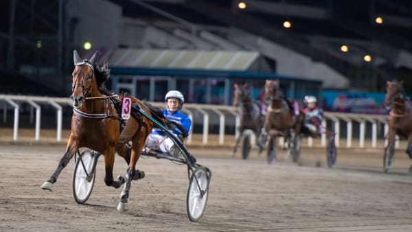 Foto: MIKAEL ROSENQUIST / TR BILD