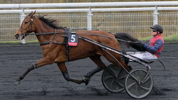 Foto: Jean-Luc Lamaère/Le Trot