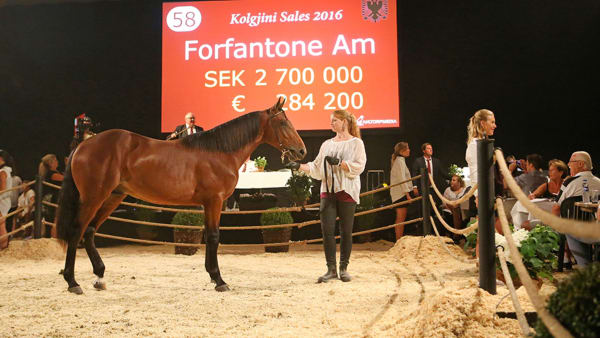 Foto: MIA TÖRNBERG/TRAVRONDEN