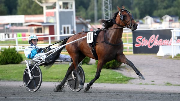 Foto: MALIN ALBINSSON / TR BILD