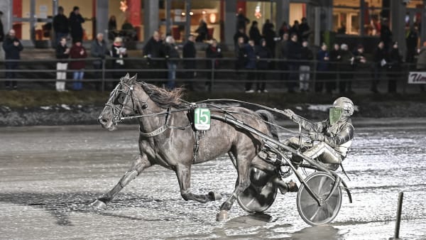 Foto: JENNY REHNMAN / TR BILD