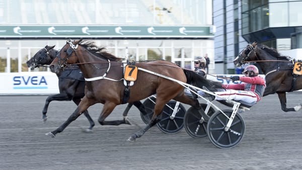 Foto: LARS JAKOBSSON / TR BILD