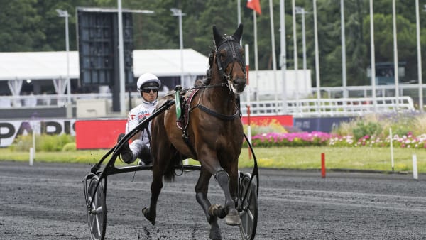 Foto: Jean-Luc Lamaère-LeTROT