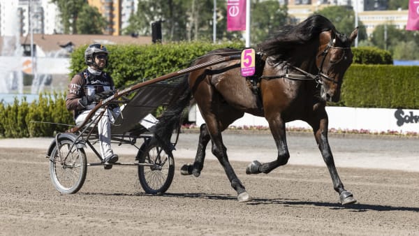 Foto: LENA EMMOTH / TR BILD