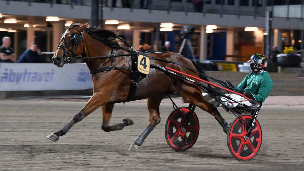 Foto: MALIN ALBINSSON / TR BILD
