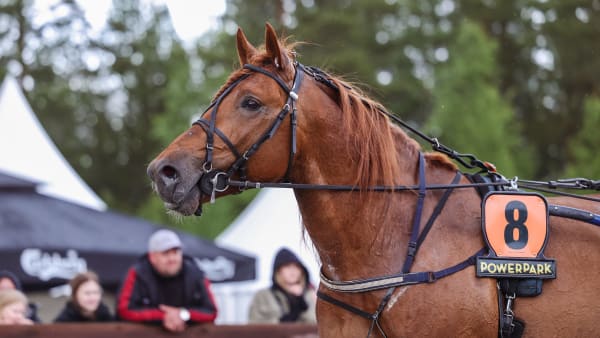 Foto: MAISA HYTTINEN/SUOMEN HIPPOS