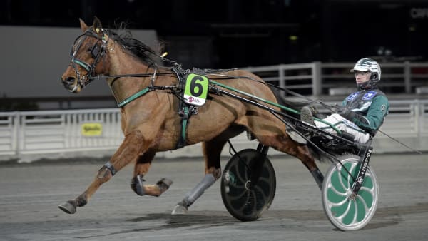 Foto: LARS JAKOBSSON / TR BILD