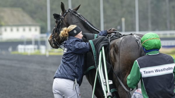 Foto: Jean-Luc Lamaère