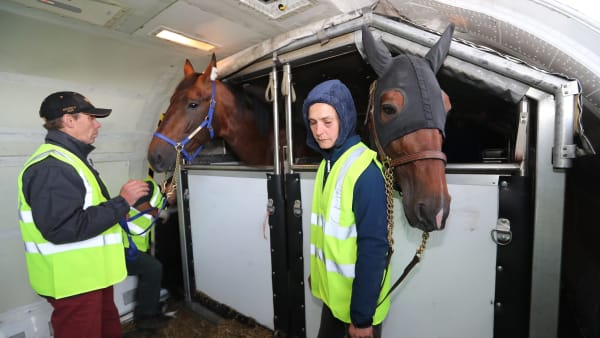 Foto: Maria Holmén/TR BILD