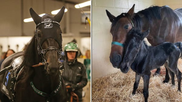 Foto: TR BILD/Privat