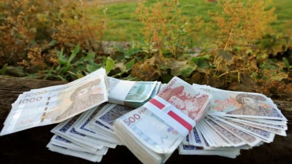 Foto: MARIA HOLMÉN/TRAVRONDEN