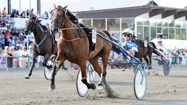 Foto: MALIN/MVAPHOTO