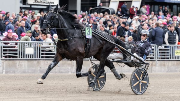 Foto: LENA EMMOTH / TR BILD