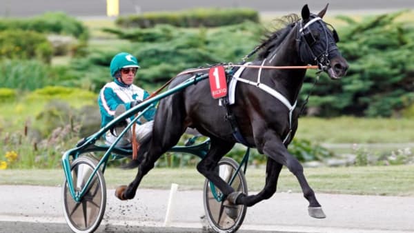 Foto: MIA TÖRNBERG/TRAVRONDEN