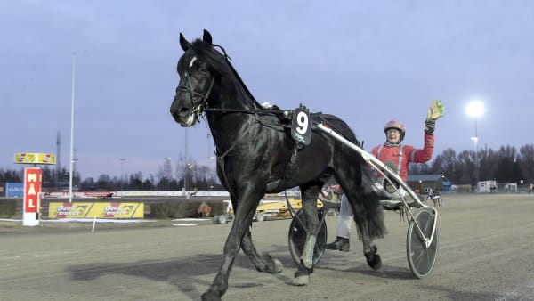 Foto: LARS JAKOBSSON / TR BILD